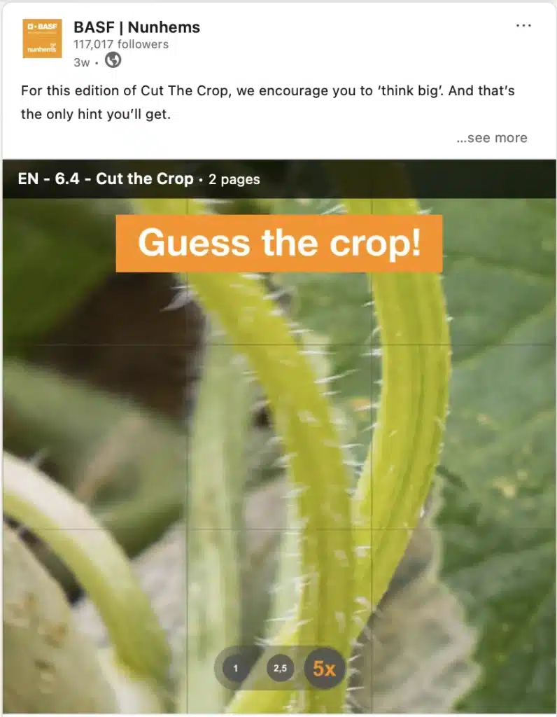 Afbeelding van een social post voor BASF Nunhems waarin bezoekers moeten raden welke groente extreem close up wordt afgebeeld